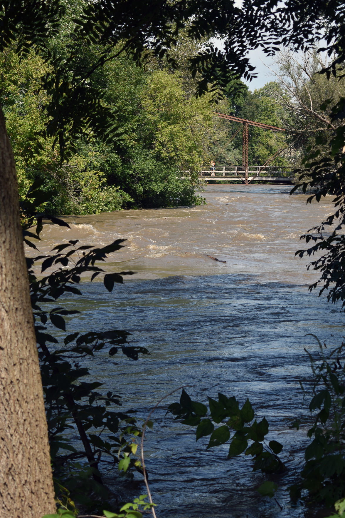 Lower Ochsner Park